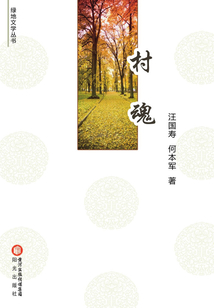 村魂（綠地文學(xué)叢書）