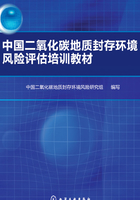 中国二氧化碳地质封存环境风险评估培训教材在线阅读