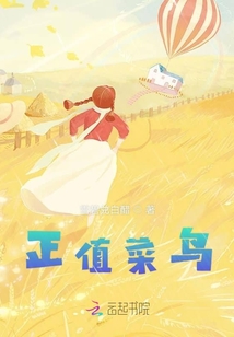 正值菜鳥