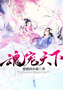魂寵天下