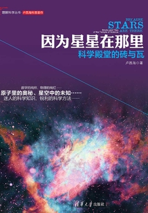因為星星在那里：科學殿堂的磚與瓦（理解科學叢書）