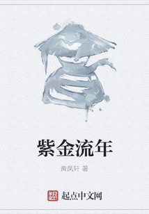 紫金流年