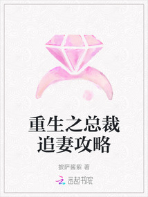 重生之總裁追妻攻略