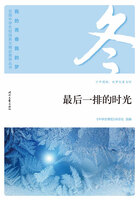 “我的青春我的梦”全国中学生校园美文精品集萃丛书:最后一排的时光在线阅读