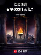 亡灵法师,召唤055什么鬼?在线阅读