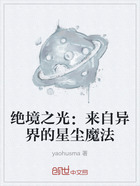 绝境之光:来自异界的星尘魔法在线阅读