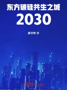 东方碳硅共生之城2030在线阅读