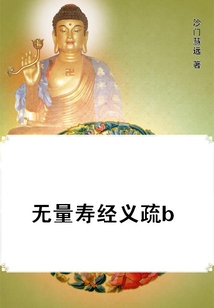 無量壽經義疏b