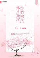 你似拂過韶華的春風在線閱讀