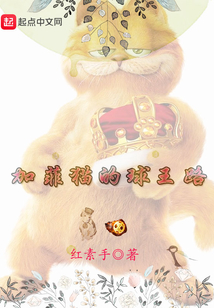 加菲貓的球王路