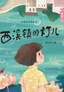 西溪鎮的燈兒