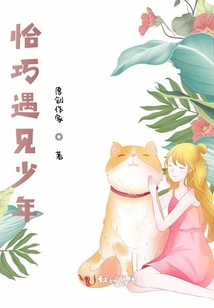 恰巧遇見少年