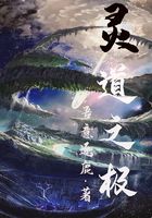 灵道之极在线阅读