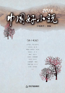 2016中國好小說（微小說卷）