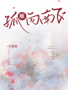 孤雁向南飞在线阅读