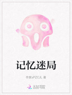 记忆迷局在线阅读