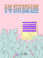 许你夏遇在线阅读