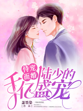 恃宠而婚:陆少的千亿盛宠在线阅读