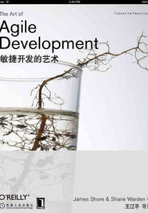 敏捷開發的藝術