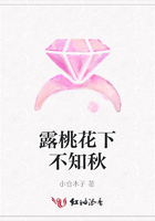 露桃花下不知秋在線閱讀