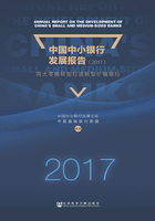 中国中小银行发展报告（2017）：向大零售转型打造新型价值银行