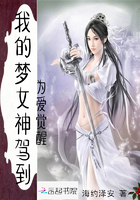 我的夢女神駕到在線閱讀