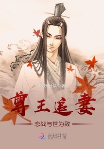 尊王追妻：戀戰與世為敵