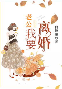 老公，我要离婚在线阅读