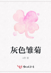 灰色雛菊