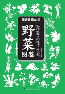 野菜圖鑒（圖鑒珍藏叢書）