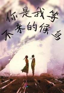 你是我等不來的候鳥