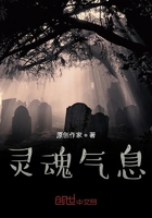 靈魂氣息在線閱讀