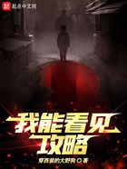 我能看见攻略