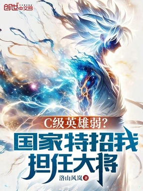C级英雄弱？国家特招我担任大将在线阅读