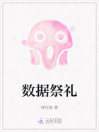 数据祭礼在线阅读
