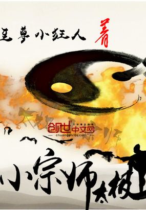 太极小宗师在线阅读