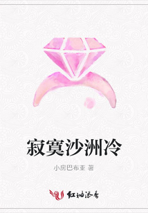 寂寞沙洲冷
