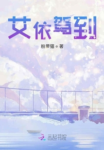 艾依駕到