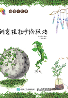 浪漫水彩课：创意植物手绘技法