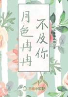 月色冉冉不及你在线阅读