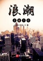 浪潮2010在線閱讀