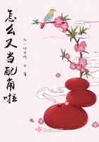 怎么又當配角啦在線閱讀