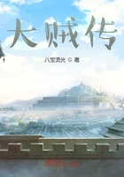 大贼传