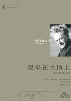 我坐在大地上:希克梅特诗选在线阅读