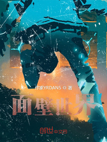 面壁世界