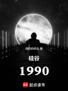 硅谷1990在线阅读