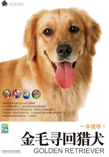 金毛尋回獵犬（家有愛犬系列）