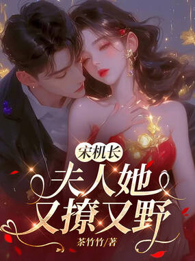 宋机长，夫人她又撩又野在线阅读