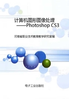 计算机图形图像处理：Photoshop CS3