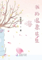 嗨，我的溫柔先生在線閱讀